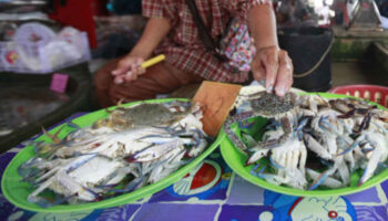 Отдел выдает предупреждение о безопасности продукции питания