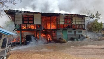 Палящее тепло вызывает волну лесных и домашних пожаров