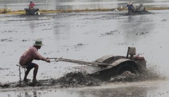 Повышенная бдительность по поводу 'лихорадки почвы', так как зафиксировано 23 случая смерти