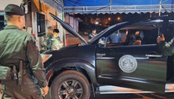 Поддельное транспортное средство национального парка, использованное в попытке контрабанды в Китае