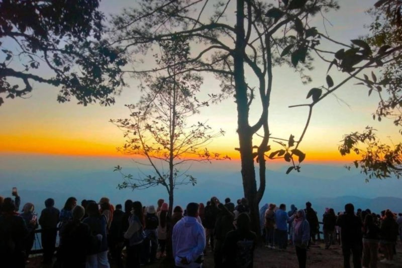 Противодействие продаже алкоголя в общественных парках