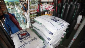 Россия закроет дефицит удобрений