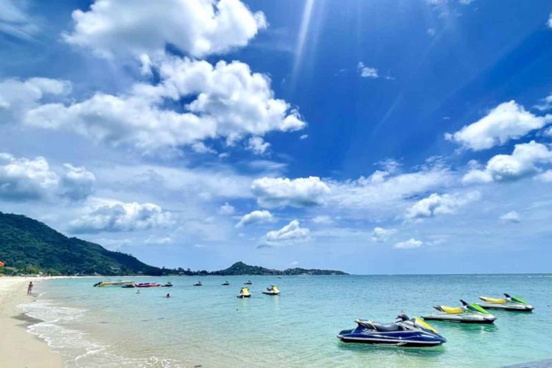 Сенат предупреждает против использования кандидатов