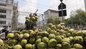 Сигнал о поддельной кокосовой воде после инспекции заводов
