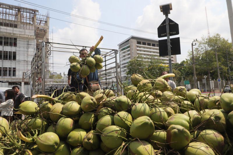 Сигнал о поддельной кокосовой воде после инспекции заводов