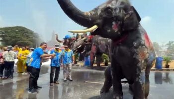 Слоны ведут грандиозные празднования Сонгкрана в исторических улицах Аюттхая