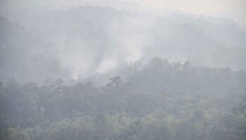 Спорный законопроект о чистом воздухе «по-прежнему стоит попробовать»