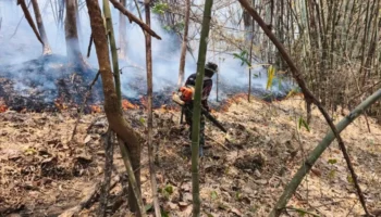 Таиланд и регион Меконга охвачены дымом из-за неустанных лесных пожаров
