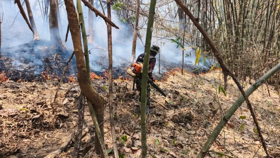 Таиланд и регион Меконга охвачены дымом из-за неустанных лесных пожаров