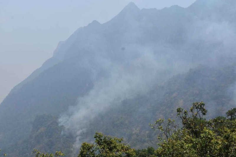 Токсический туман на Севере вызывает риск заболеваний легких: эксперт