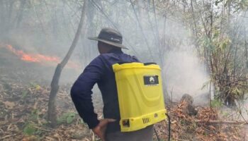 Уровни смога "кризисные" на Севере, сильнее всего пострадал Нан