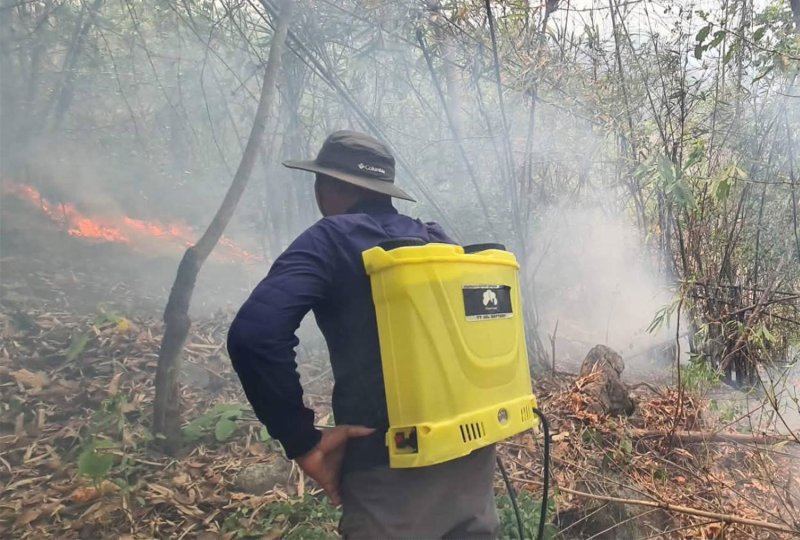 Уровни смога "кризисные" на Севере, сильнее всего пострадал Нан