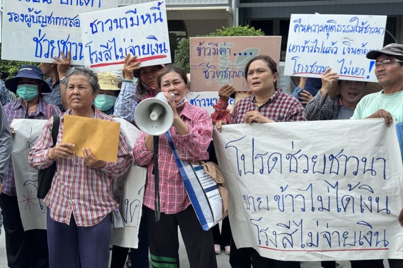 Фермеры говорят, что мельница все еще должна им 42 миллиона за урожай прошлого года