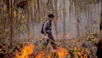 Фонд Mirror призывает волонтеров, так как пожары на севере ухудшают качество воздуха