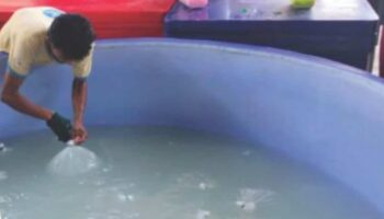 Чиновники Самутсонгкхрам начали борьбу с поддельной кокосовой водой