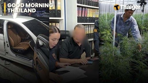 Thailand News | BMW заезжает в толпу, ранив пятерых иностранцев в Паттайе, Таиланд запускает карту отслеживания магазинов каннабиса
