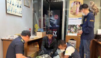251 живых диких животных обнаружено, спрятанных в чемодане малайзийца
