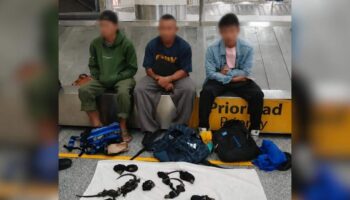 3 тайских мужчины арестованы в Эквадоре с 12 редкими игуанами Галапагосских островов