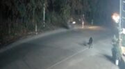 Британский мотоциклист арестован на Ко Пангане после того, как оставил тайского врача в коме