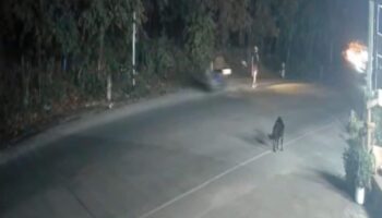 Британский мотоциклист арестован на Ко Пангане после того, как оставил тайского врача в коме