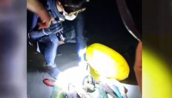 Власти Пхукета разыскивают туристов, обвиняемых в подводной охоте на защищенных папугайских рыб.