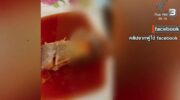 Всероссийские проверки назначены после того, как в банках с макрелью были найдены тилапии.