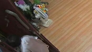 Встреча со змеёй шокировала бабушку Чаченгао
