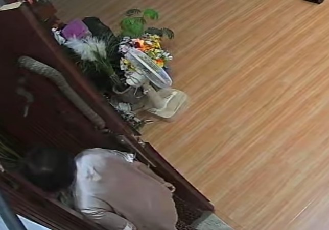 Встреча со змеёй шокировала бабушку Чаченгао