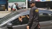 Две собаки спасены из знойного автомобиля на рынке в Корате