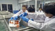 Изучение рыбного хозяйства показывает потенциал