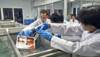 Изучение рыбного хозяйства показывает потенциал