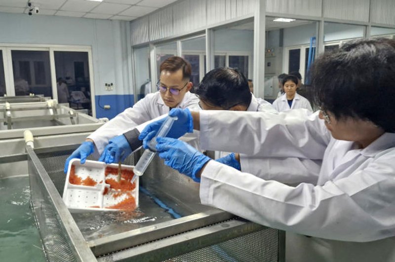 Изучение рыбного хозяйства показывает потенциал