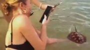 Иностранцы позируют с морской черепахой на Пхукете, вызывая онлайн-дебаты