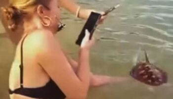 Иностранцы позируют с морской черепахой на Пхукете, вызывая онлайн-дебаты
