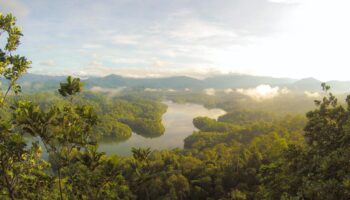 Как Юго-Восточная Азия может защитить природу, открывая 2 триллиона долларов ежегодно