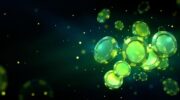 Клуб игр бонусы и акции: практический анализ для мексиканских игроков