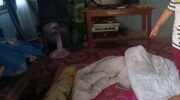 Мужчина из Прачинбури обвиняется в нападении на 11-летнего родственника