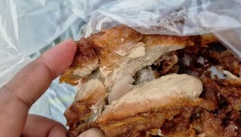 Обед из хрустящей курицы дочери, зараженный червями