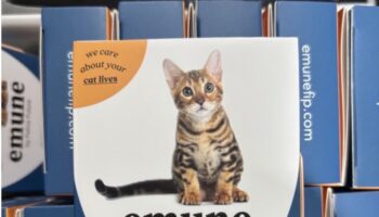 Производитель разбавленных кошачьих медикаментов пойман