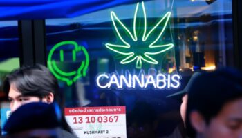 Рынок каннабиса едва затронут новыми правилами