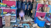 Сложный случай борьбы с контрабандой дикой природы в Након Фаноме: изъяты находящиеся под угрозой исчезновения шкуры в результате рейда в магазине