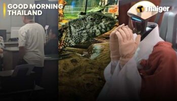 Таиланд Новости | Восемь подозреваемых задержаны после смерти китайского туриста в результате нападения в клубе Паттайи, гуманоидный робот был рукоположен в почетные буддийские монахи в Южной Корее