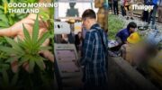 Таиланд Новости | Таиланд отменяет схему безвизового въезда на 60 дней, новые правила ЕС могут предоставить тайским путешественникам более длительные шенгенские визы