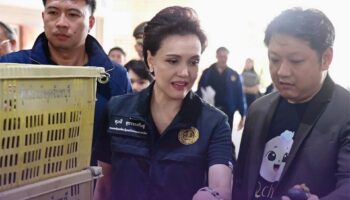 Тайское правительство предпринимает шаги для стабилизации цен на дурианы и мангостины перед увеличением сборов.