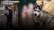 Thailand News | Турист получил травму после рискованного сальто на сонгтае в Паттайе, ошибка с оборудованием привела к пожарю на бензозаправке в Бангкоке
