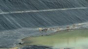 13 бездомных собак спасены из скользкой ямы