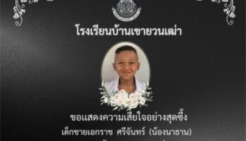 Мальчик был убит домашней обезьяной деда