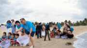 На Пхукете выпустили в море молодых акул и черепах