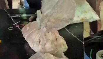 Нитрит, найденный в супе с лапшой Удон Тхани, 3 тарелки могут привести к смерти