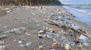 Остановите сведение мусора, умоляет мэр, это загрязняет пляж Банг-Сен